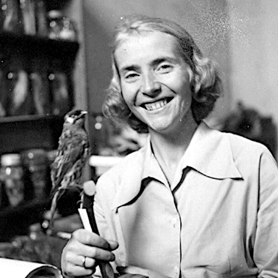 Archivo:Maria Koepcke.jpg