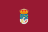 Bandera de Salamanca