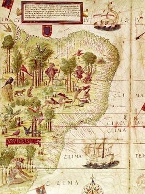 Mapa Brasil-1519.jpg