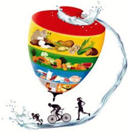 Figura sel Trompo alimenticio
